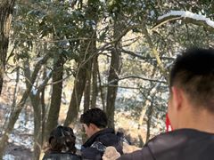 -安吉龙王山风景区