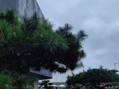 -罗红摄影艺术馆