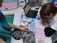 -中农大我爱我爱24h动物医院·中医针灸·猫专科·骨科医疗中心(双井店)