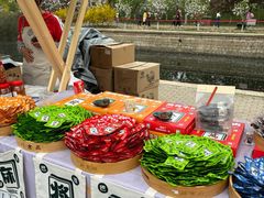 -元大都城垣遗址公园