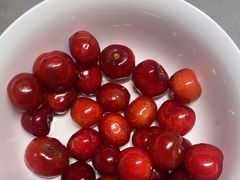 -上海菊园樱桃研究所