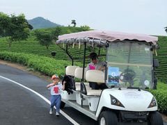 -帐篷客·溪龙茶谷度假酒店