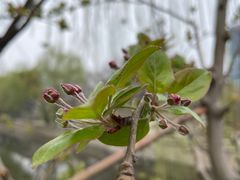 -元大都城垣遗址公园