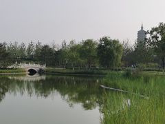 -西海子公园