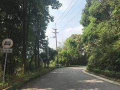 -广州市帽峰山景区