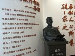 -白洋淀景区
