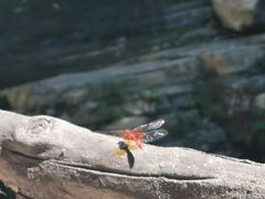 -北京上方山国家森林公园