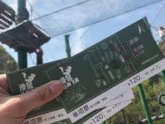 -衢州大荫山丛林飞越探险乐园