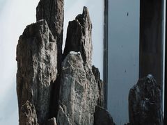 -上海方塔园