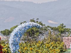 -一寨两国风景区
