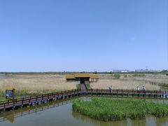 -宁波杭州湾国家湿地公园