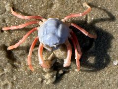 -北海金海湾红树林生态旅游区