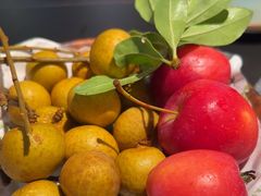-季季山·云南野生菌火锅(上海首店)