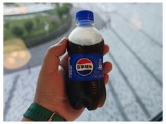 -麓湘小镇(金茂览秀城店)
