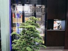 -湖畔鲁菜·二十年老字号餐厅(大明湖店)