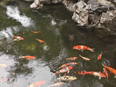 -华西村
