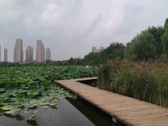 -前关湿地公园