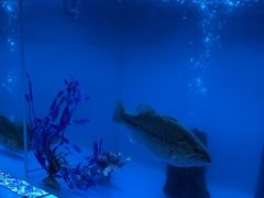 -怡咖啡·自助餐·西安香格里拉