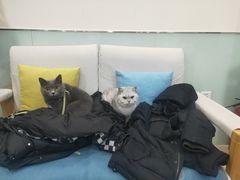 -美迦爱-牙专科·兔科·骨科诊疗中心(北苑店)