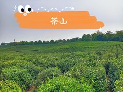 -南京市江宁方山