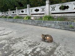 -高旻寺