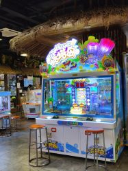 -卡通尼·Safari非洲探索乐园·生日会(金桥国际商业广场店)