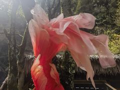 -石台牯牛降景区