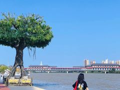 -咸阳湖景区
