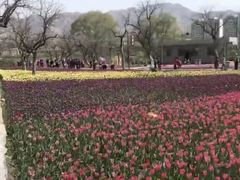 -黄河三峡风景名胜区