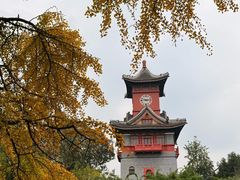 -四川大学(华西校区)