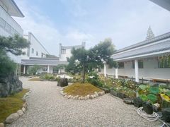 -东方艺术博物馆