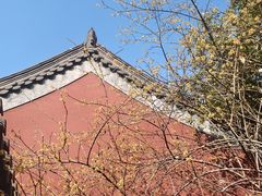 -钱王祠
