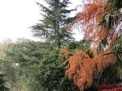 -上海佘山国家森林公园天马山园