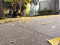 -西南交通大学(九里校区)