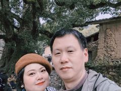 -杨家堂村