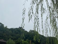 -黄鹤楼