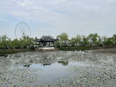 -无锡蠡湖国家湿地公园-蠡园