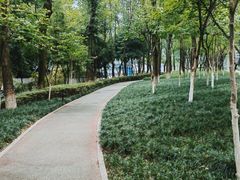 -重庆市江北嘴中央商务区中央公园