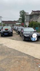 -蚂蚁婚车