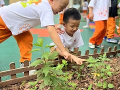 -吉的堡幼儿园(复地花屿城分园)