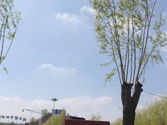 -北戴河集发农业梦想王国