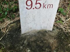 -羚羊峡古栈道森林公园