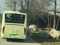 -西安秦岭野生动物园