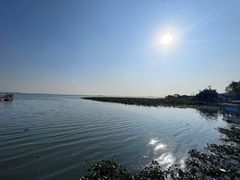 -莲花岛景区