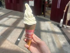 -富豪雪糕车流动点(尖沙咀)