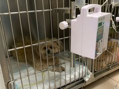 -安安宠医·安宠宠物医院