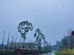 -江门古劳水乡旅游区