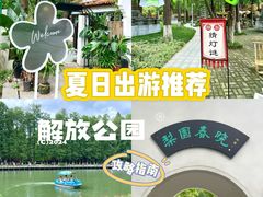 -解放公园