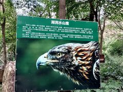 -湖洞水自然风景区