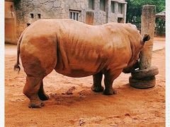-昆明动物园